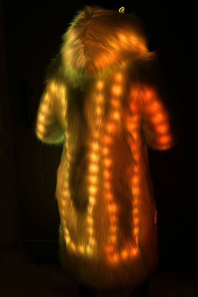 LED Faux Fur Coat