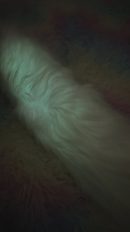 Light Up Fuzzy Fox Tail